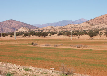Тарудант, Марокко, фото № 8089 – фотографии Марокко