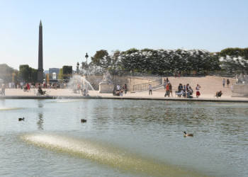 Фонтан в саду Тюильри, Франция – фотографии Франции