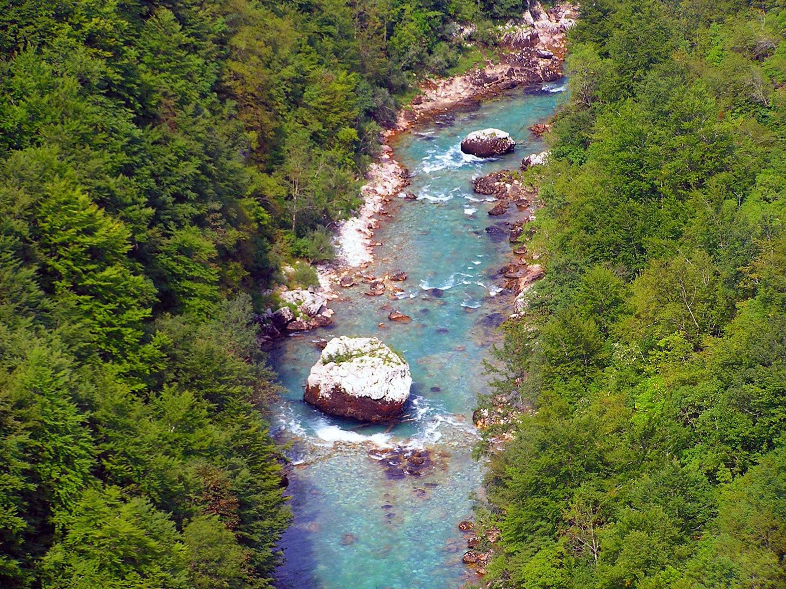 Тара Каньон – фотографии Черногории