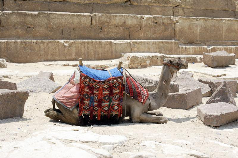 Александрия, Египет, фото № 34770 – фотографии Египта