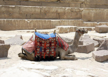 Александрия, Египет, фото № 34770 – фотографии Египта