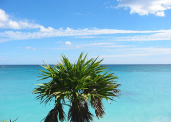 Тулум, Ривьера-Майя, Мексика, фото № 44193 – фотографии Мексики