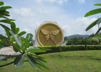 Сад бабочек Сайтхип (Saithip Butterfly Garden), Тайланд – фотографии Таиланда