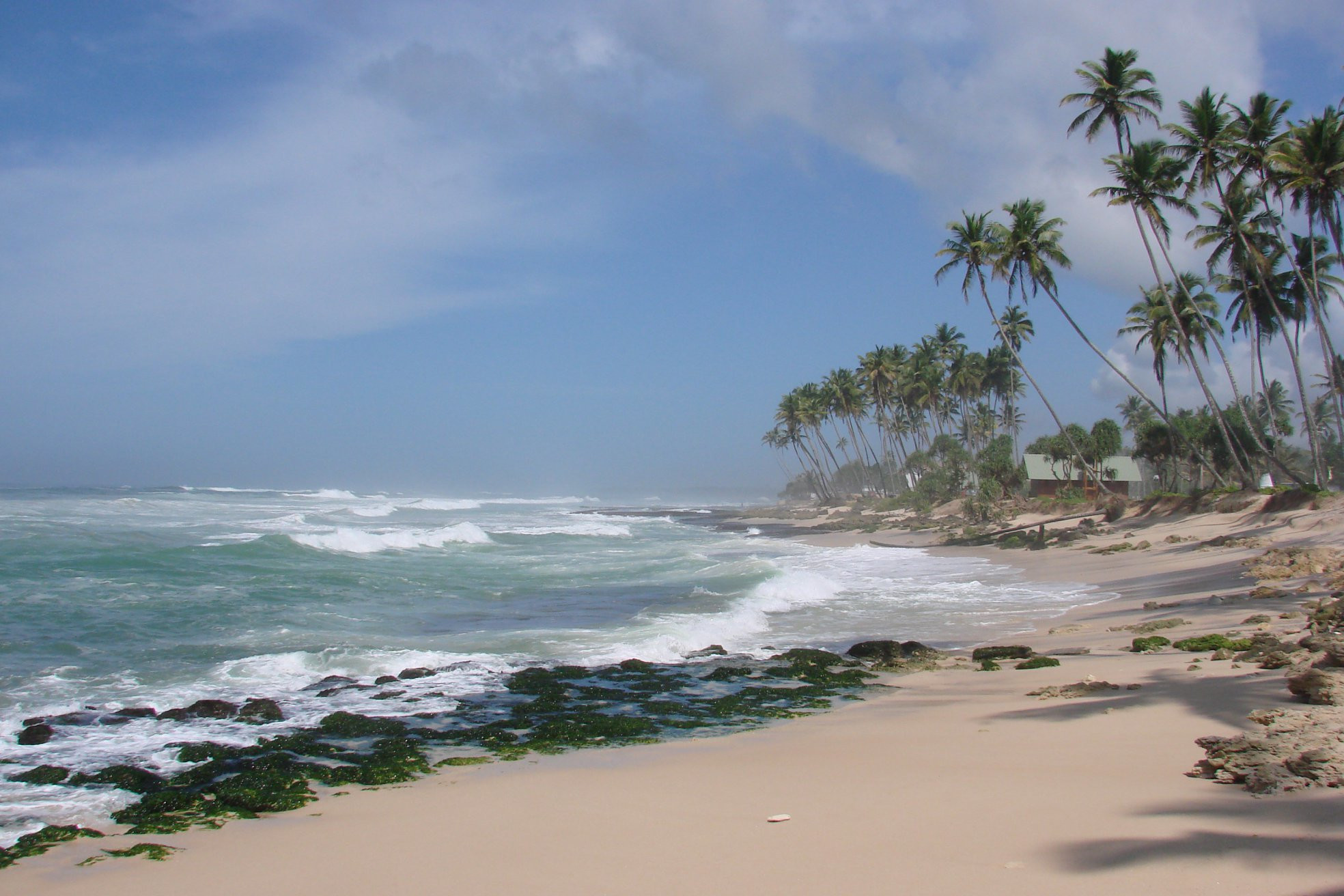 Коггала, Шри-Ланка, фото № 51548 – фотографии Шри-Ланки