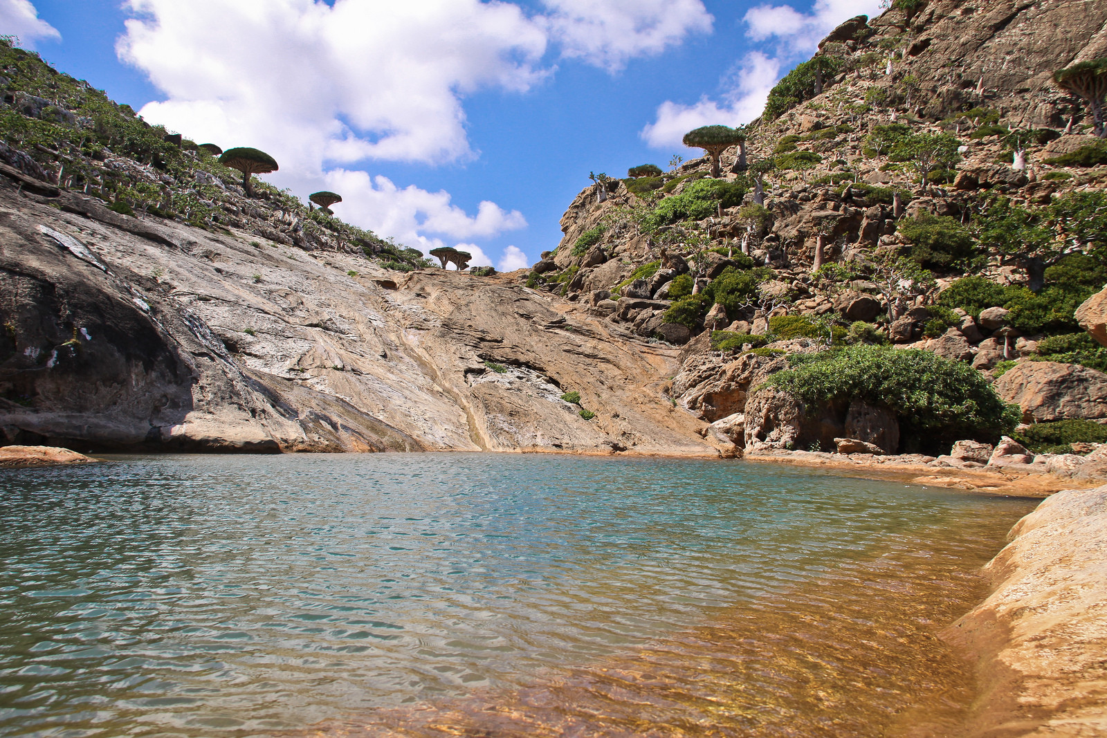 Остров Сокотра в Индийском океане у берегов Сомали – фотографии Йемена