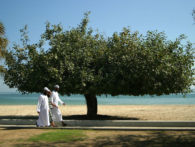 Фуджейра, ОАЭ, фото № 61156 – фотографии ОАЭ