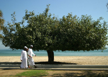 Фуджейра, ОАЭ, фото № 61156 – фотографии ОАЭ