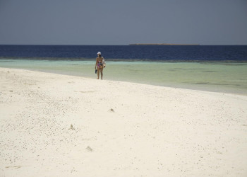 Марса-Алам, Египет, фото № 35339 – фотографии Египта