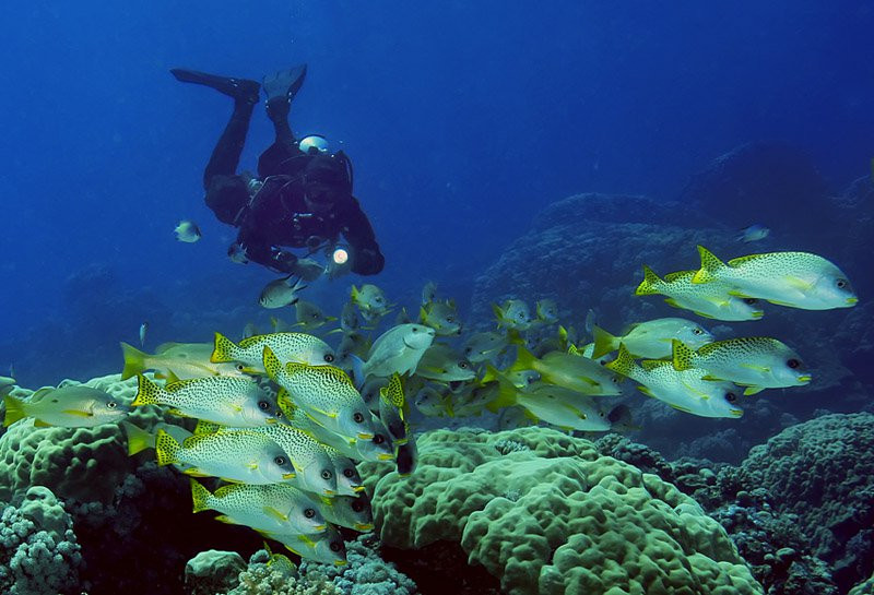 Хургада, Египет, фото № 35489 – фотографии Египта