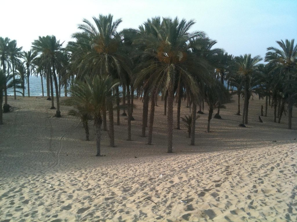 Эль-Ариш, Египет, фото № 71485 – фотографии Египта