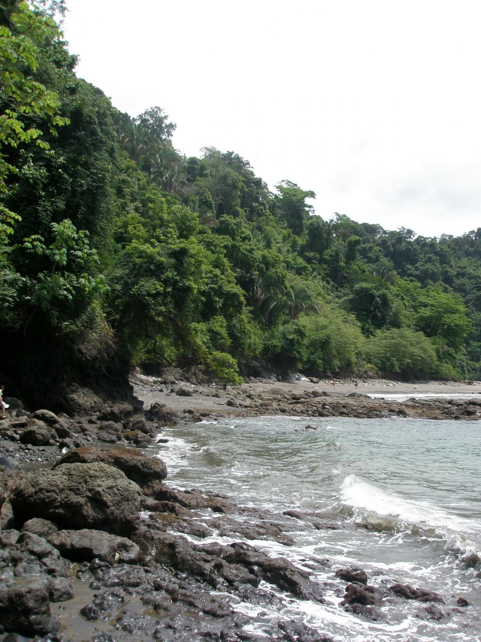 Мануэль Антонио, Пунтаренас провинция, Коста-Рика, фото № 40619 – фотографии Коста-Рики