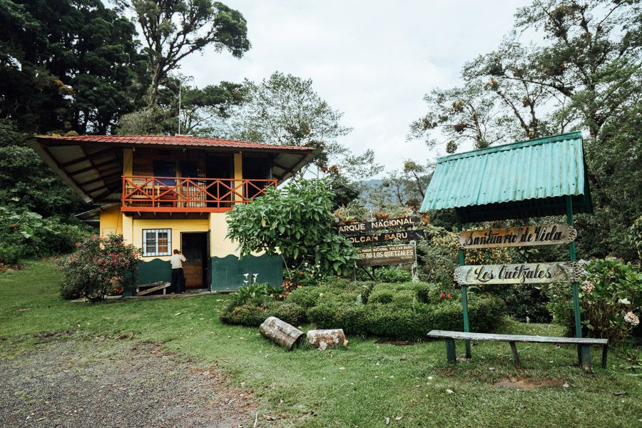 Красивейшая фауна и флора на тропе Сендеро-де-лос-Кетцалес, Панама – фотографии Панамы