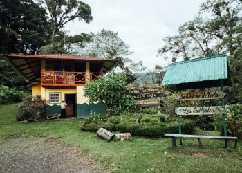Красивейшая фауна и флора на тропе Сендеро-де-лос-Кетцалес, Панама – фотографии Панамы