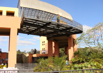 Парк Тангуа – фотографии Бразилии