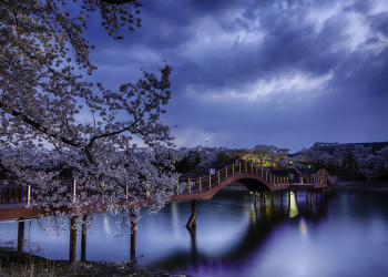 Озеро Бомун в Южной Корее – фотографии Южной Кореи