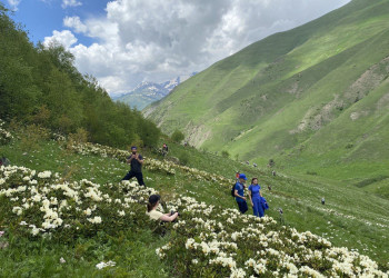Цветение рододендронов и туристы в ущелье Цмиаком, июнь 2022 – фотографии России