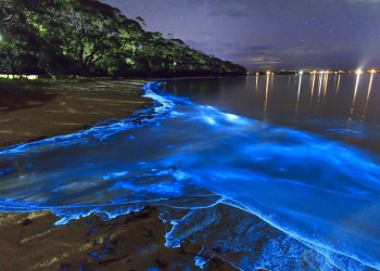 Светящийся пляж синим неоновым светом, остров Ваадху, Мальдивы – фотографии Мальдивских островов