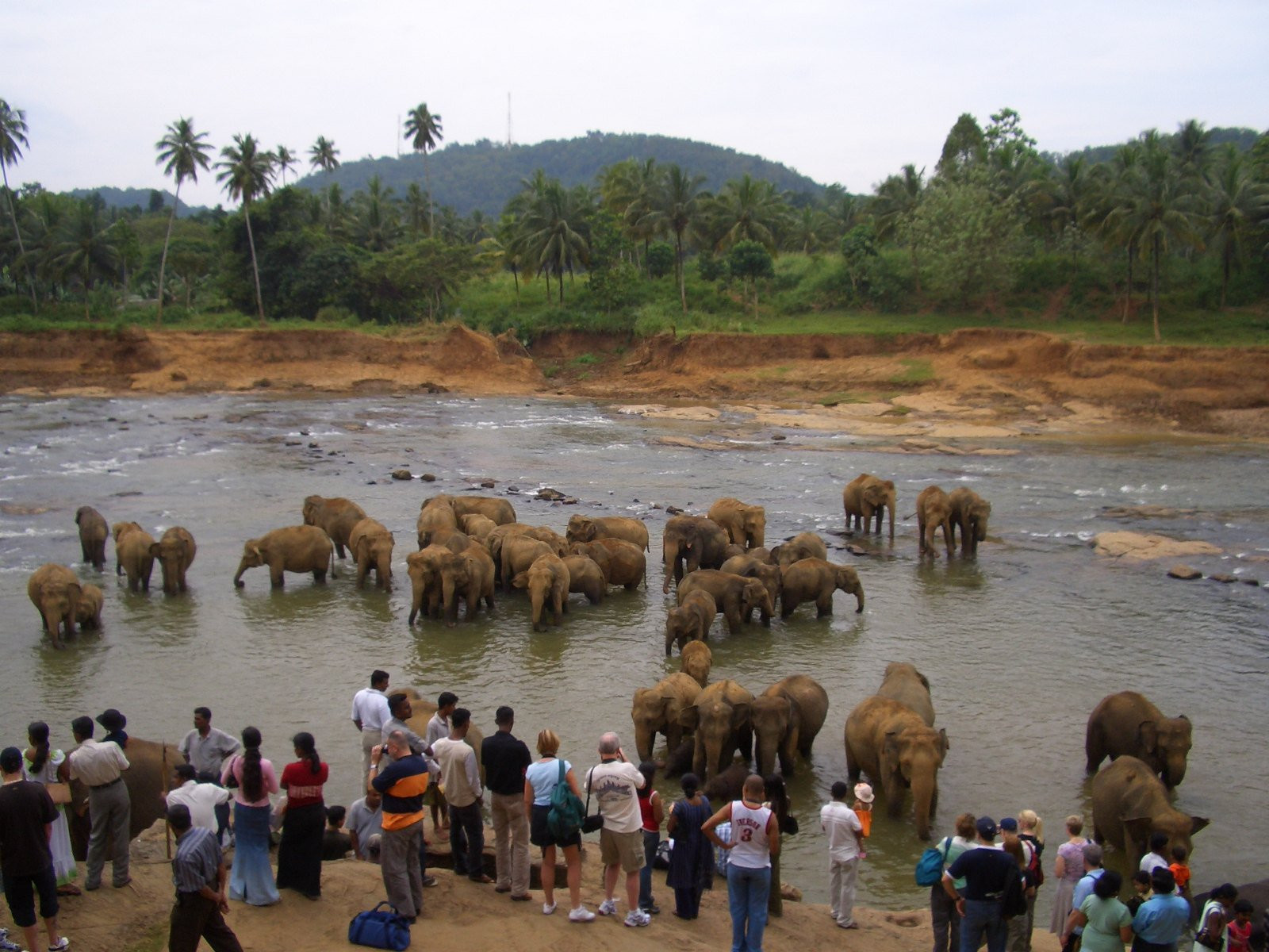 Канди, Шри-Ланка, фото № 51400 – фотографии Шри-Ланки