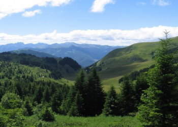 Природа Национального парка, Черногория. Фото 2 – фотографии Черногории