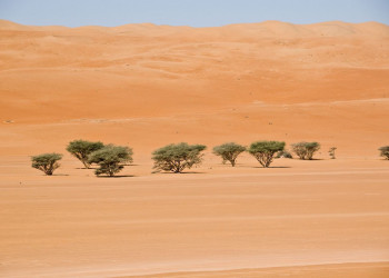 Оман, фото № 5760 – фотографии Омана