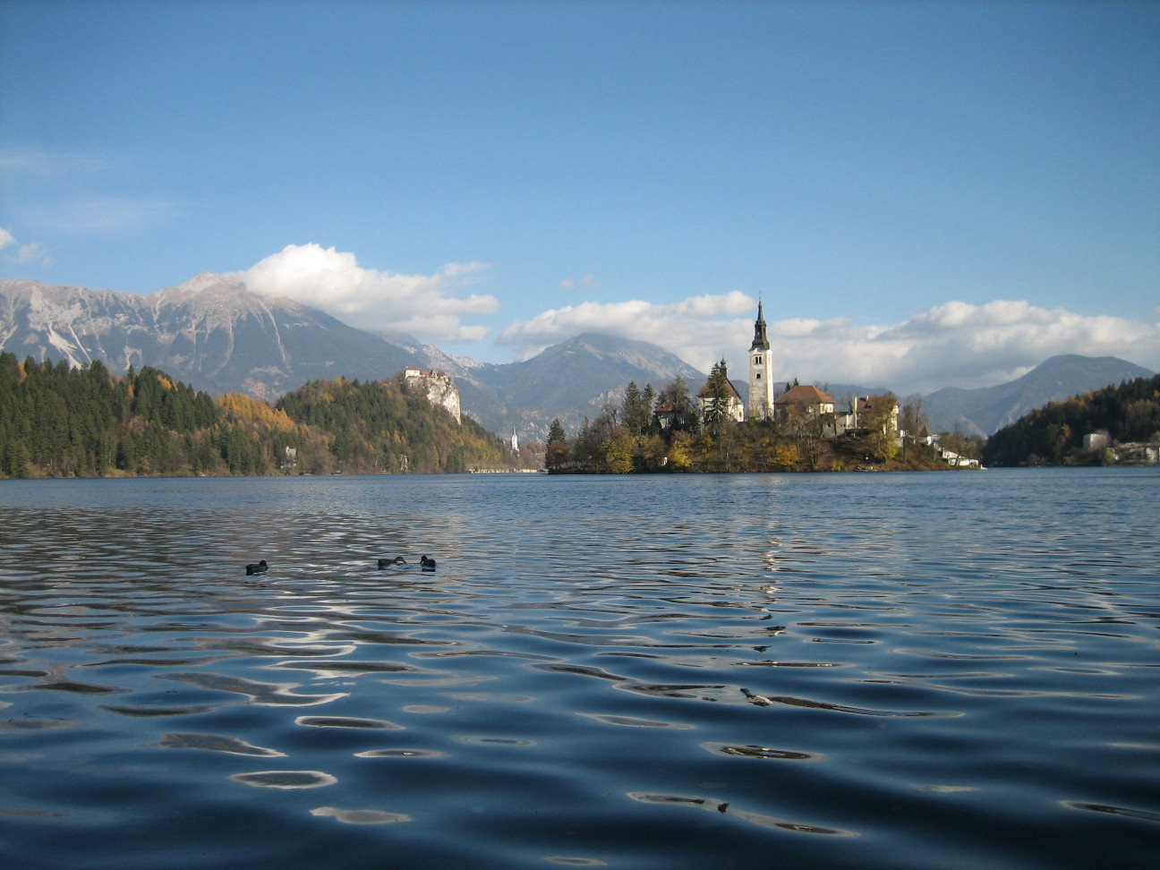 Блед Озеро, Словения, фото № 56823 – фотографии Словении