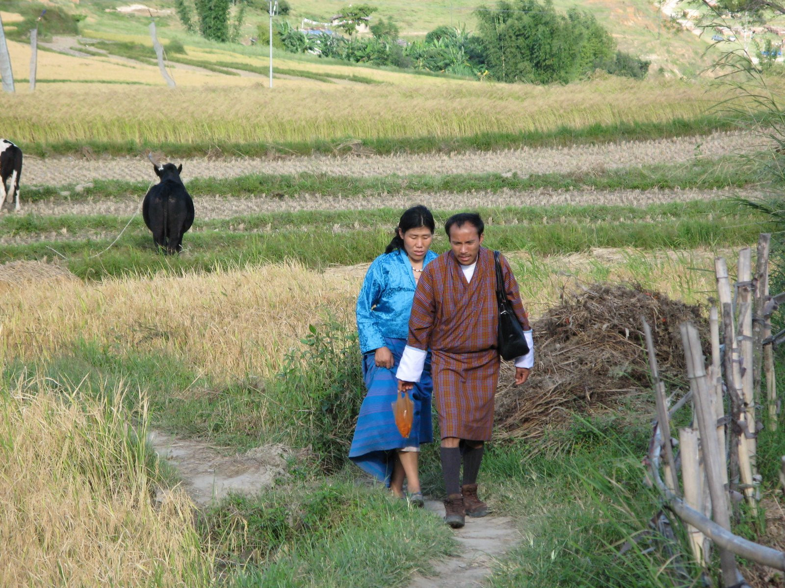 Бутан, фото № 4719 – фотографии Бутана
