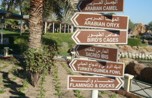 Аль-Арин (Al Areen) – парк дикой природы в Бахрейне. Фото 4 – фотографии Бахрейна