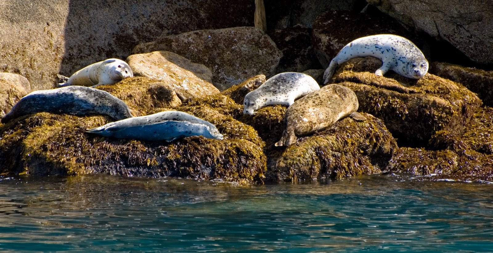 Аляска штат, США, фото № 67664 – фотографии США