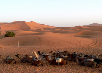 Эрфуд, Марокко, фото № 8717 – фотографии Марокко