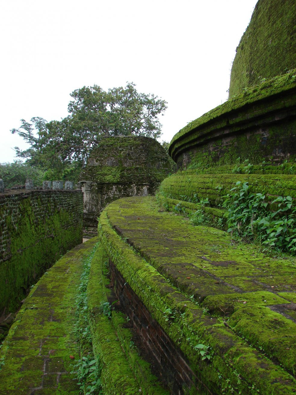 Полоннарува, Шри-Ланка, фото № 52175 – фотографии Шри-Ланки