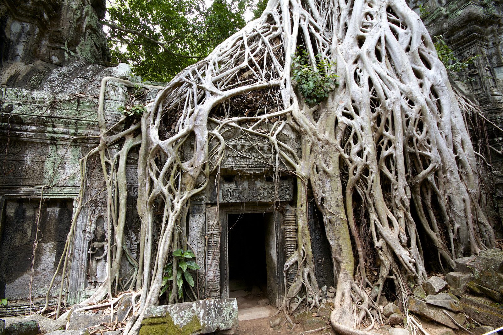 Храмовый комплекс Ангкор-Ват – фотографии Камбоджи