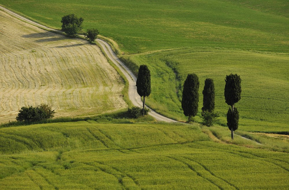 Тоскана, Италия, фото № 77948 – фотографии Италии