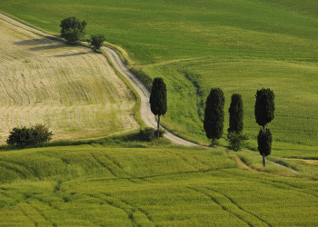 Тоскана, Италия, фото № 77948 – фотографии Италии
