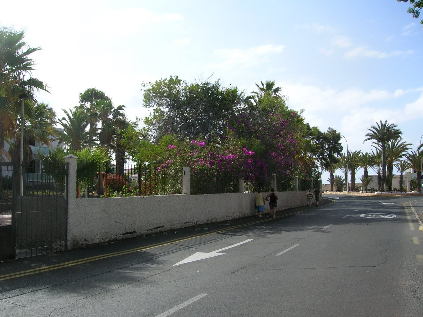 Коста-дель-Силенсио, Тенерифе остров, Канарские острова, фото № 33245 – фотографии Канарских островов