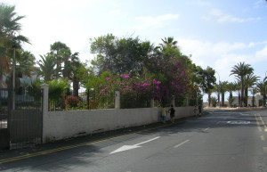 Коста-дель-Силенсио, Тенерифе остров, Канарские острова, фото № 33245 – фотографии Канарских островов