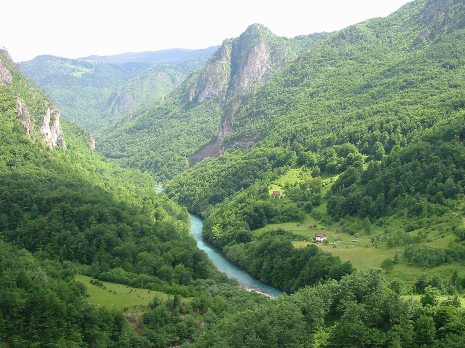 Тара Каньон – фотографии Черногории