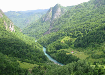 Тара Каньон – фотографии Черногории