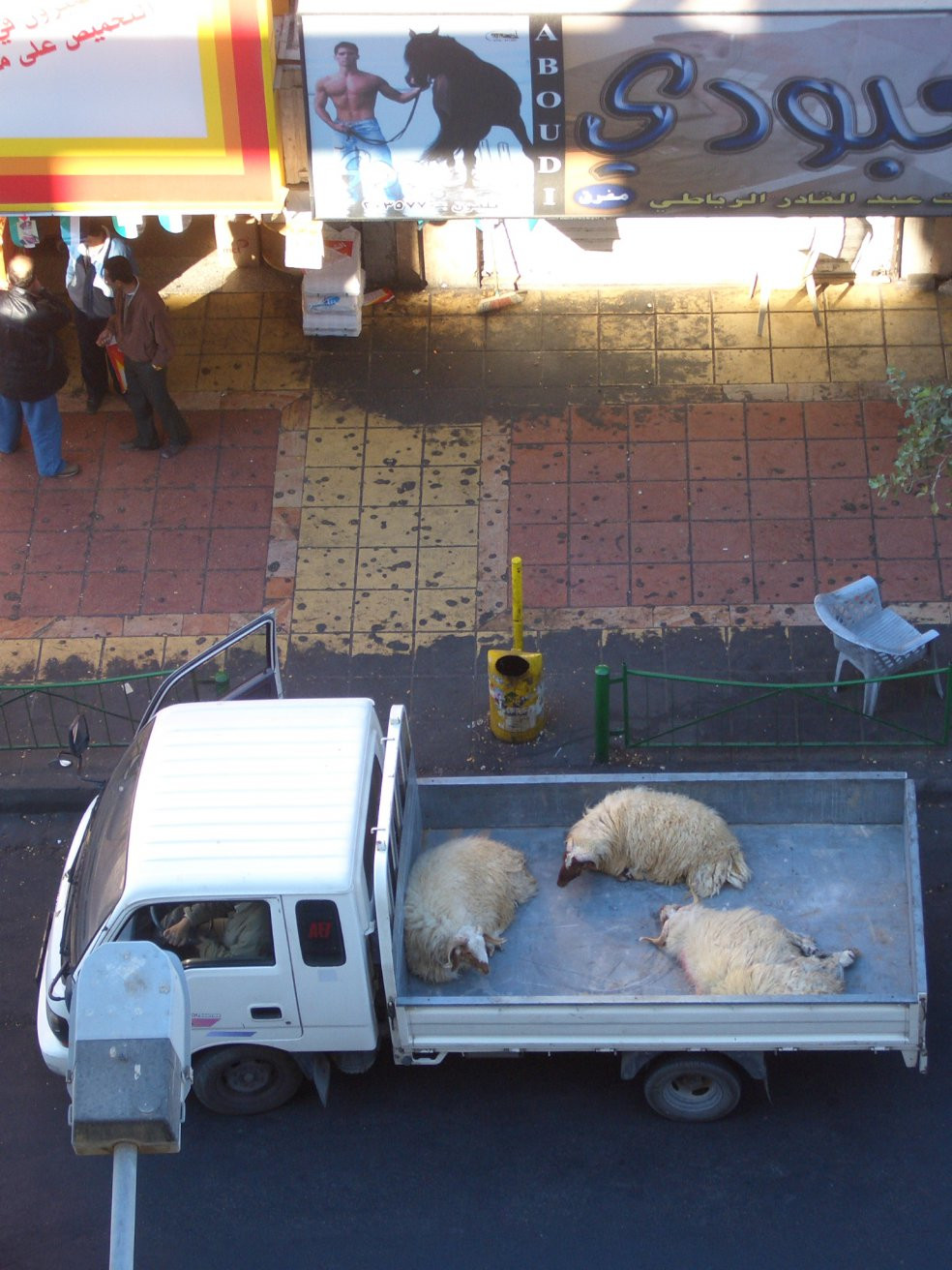 Акаба, Иордания, фото № 36070 – фотографии Иордании