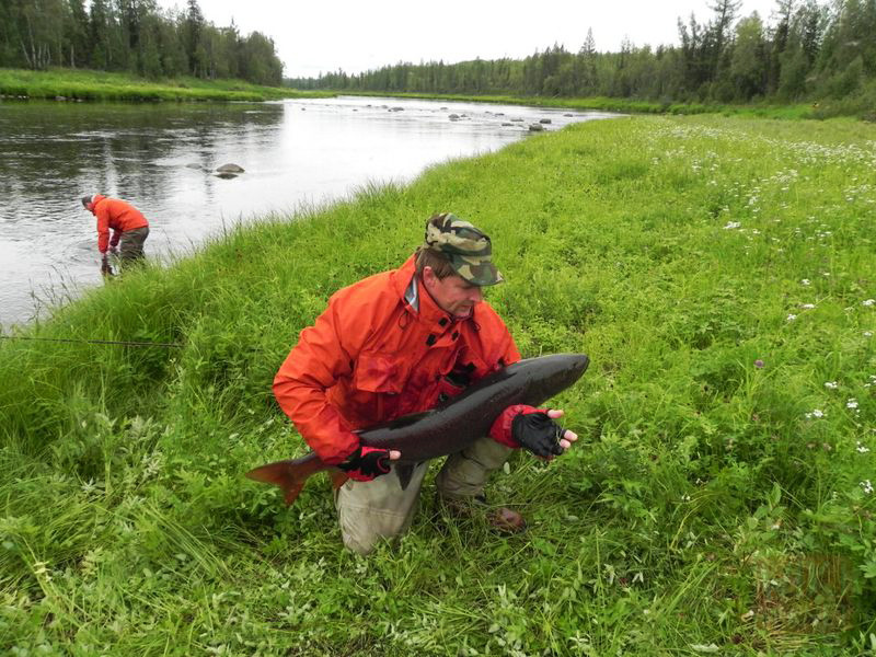 Хамсара, река в Тыве – фотографии России