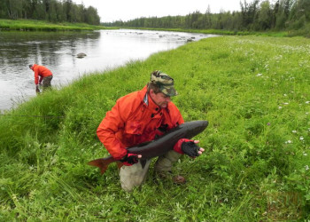 Хамсара, река в Тыве – фотографии России