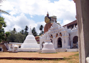 Диквелла, Шри-Ланка, фото № 51146 – фотографии Шри-Ланки