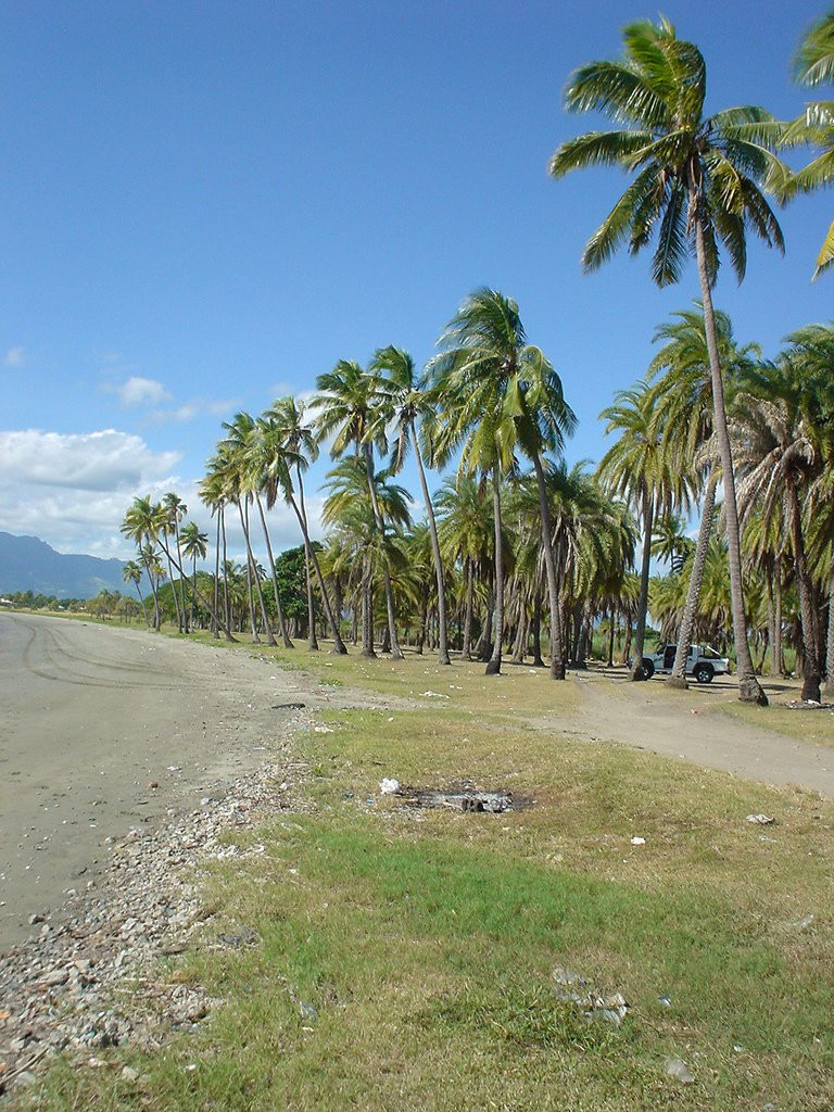 Нади, Вити Леву остров, Вити Леву группа островов, Фиджи, фото № 49534 – фотографии Фиджи