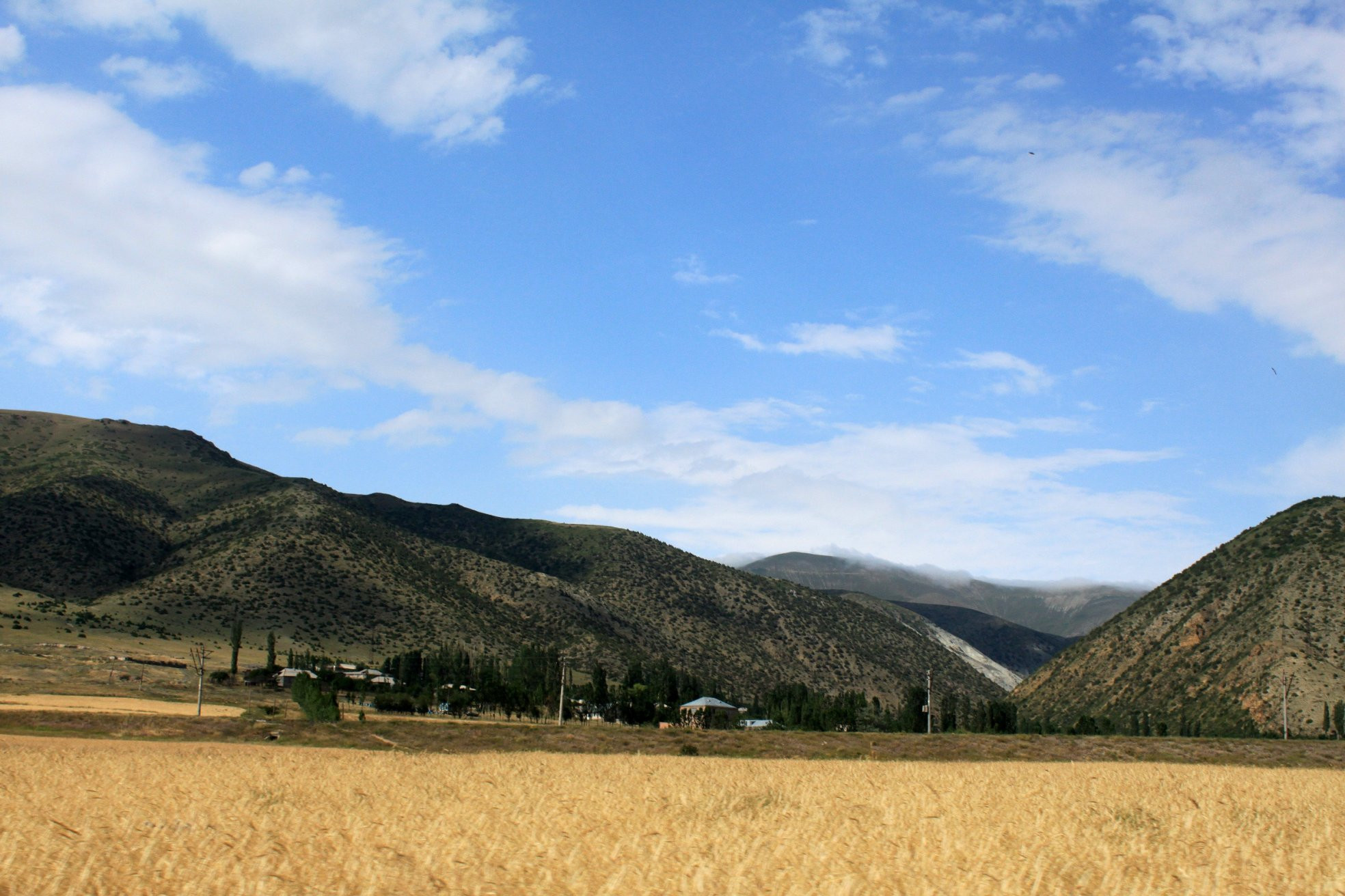Природа на озере Севан, Армения. Фото 1 – фотографии Армении