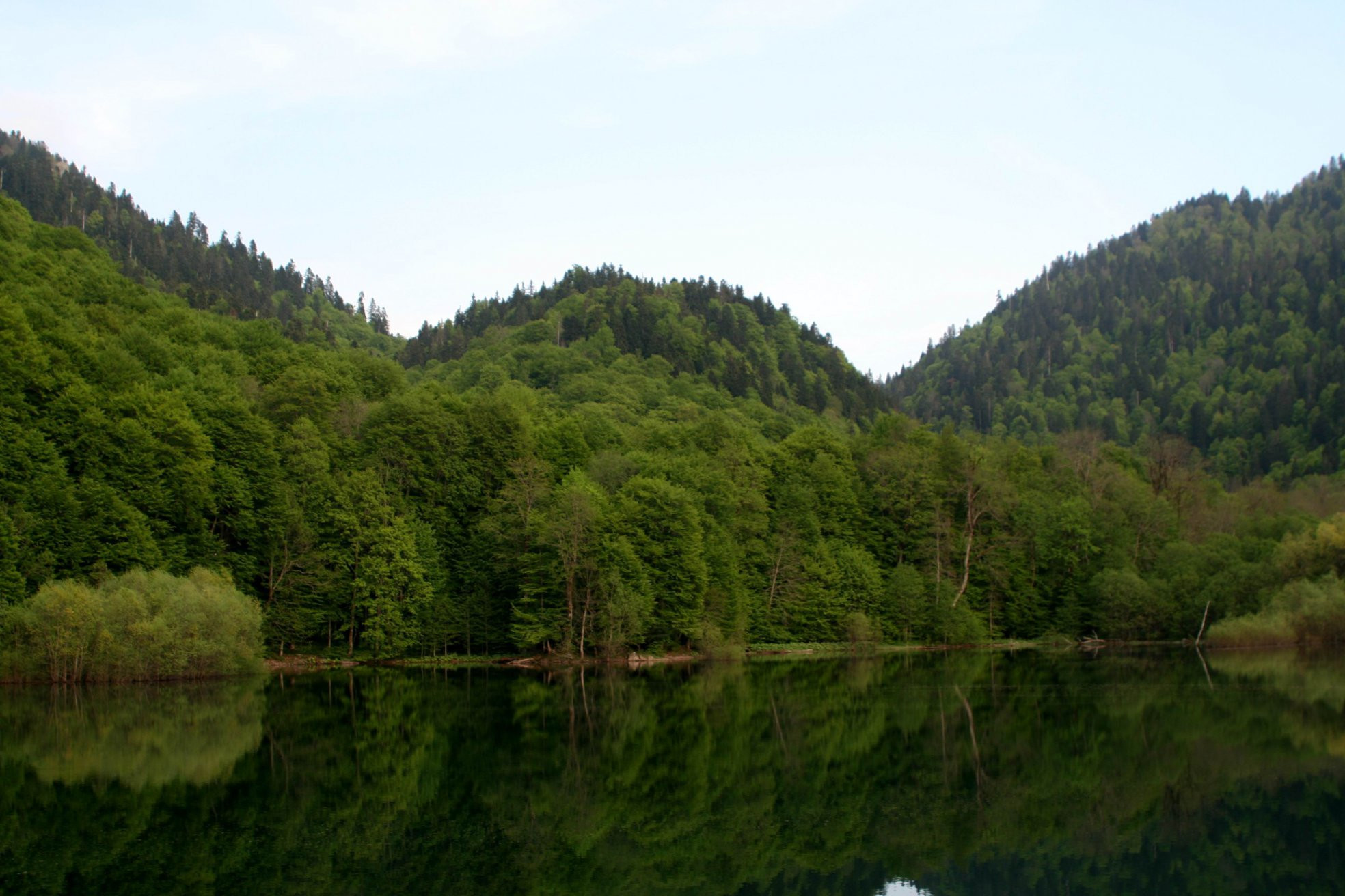 Пейзаж Национального парка, Черногория – фотографии Черногории