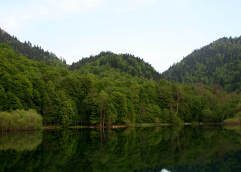 Пейзаж Национального парка, Черногория – фотографии Черногории