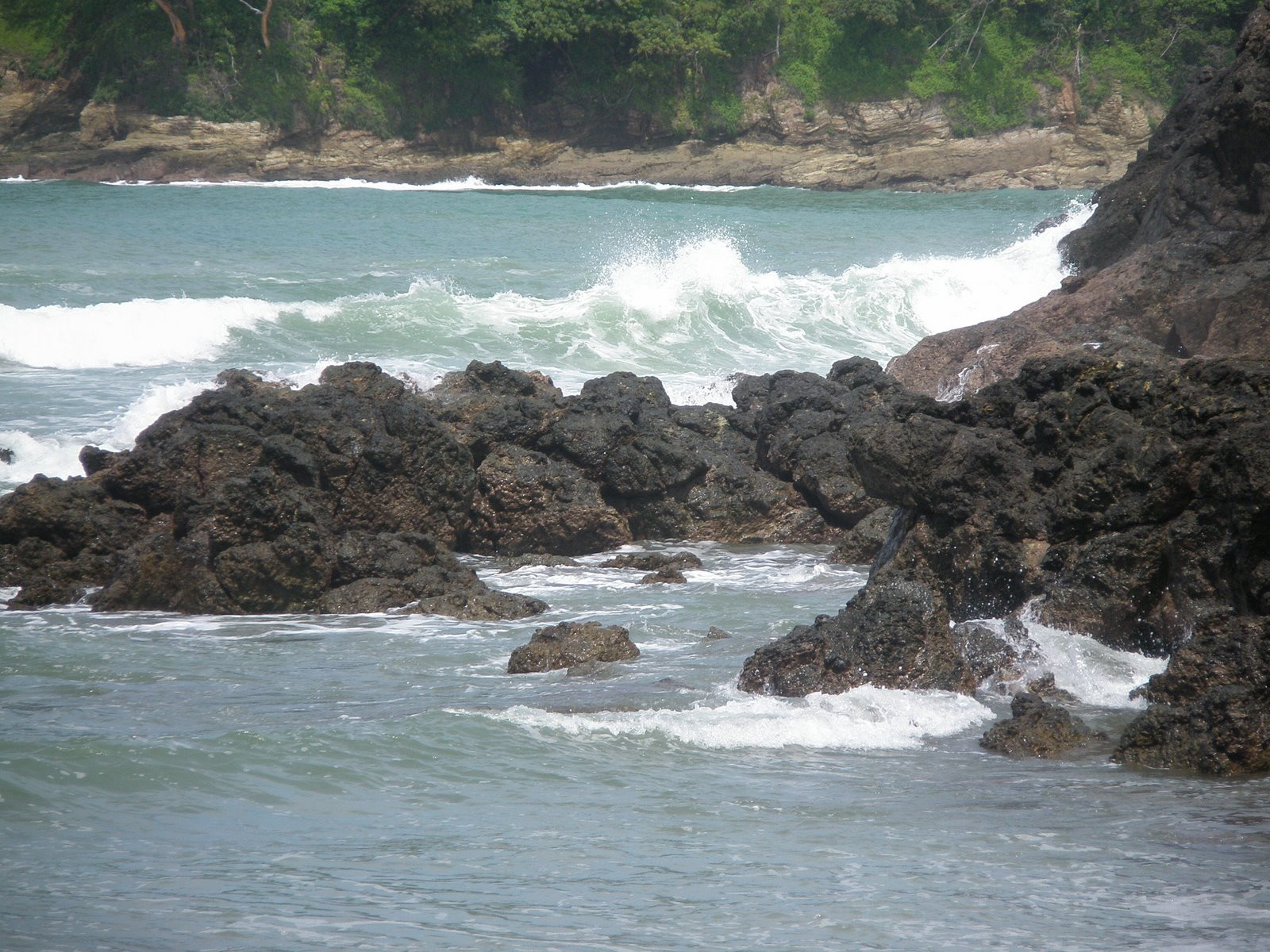 Мануэль Антонио, Пунтаренас провинция, Коста-Рика, фото № 40635 – фотографии Коста-Рики