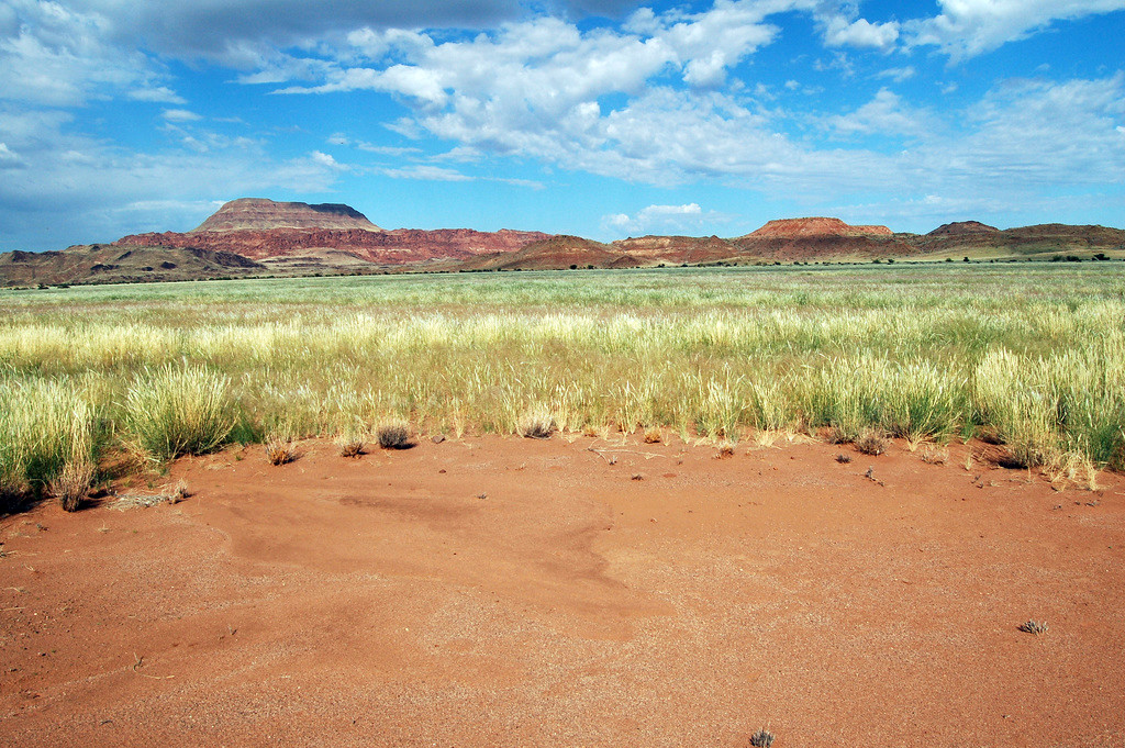 Загадочные круги на полях в Намибии. Фото 2 – фотографии Намибии