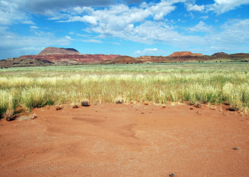 Загадочные круги на полях в Намибии. Фото 2 – фотографии Намибии