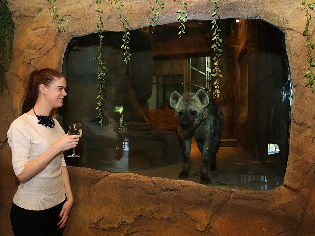 Отель-зоопарк Jamala Wildlife Lodge в Австралии. Фото 7 – фотографии Австралии