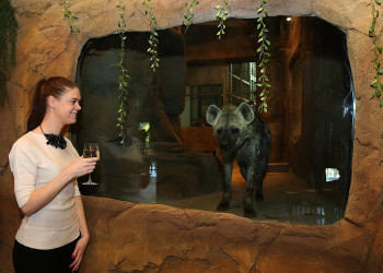 Отель-зоопарк Jamala Wildlife Lodge в Австралии. Фото 7 – фотографии Австралии